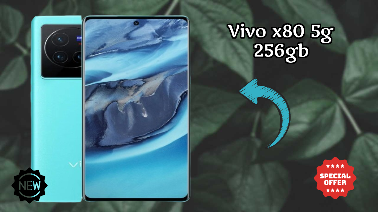 Vivo X80 5G 256GB Display Quality: AMOLED Explained