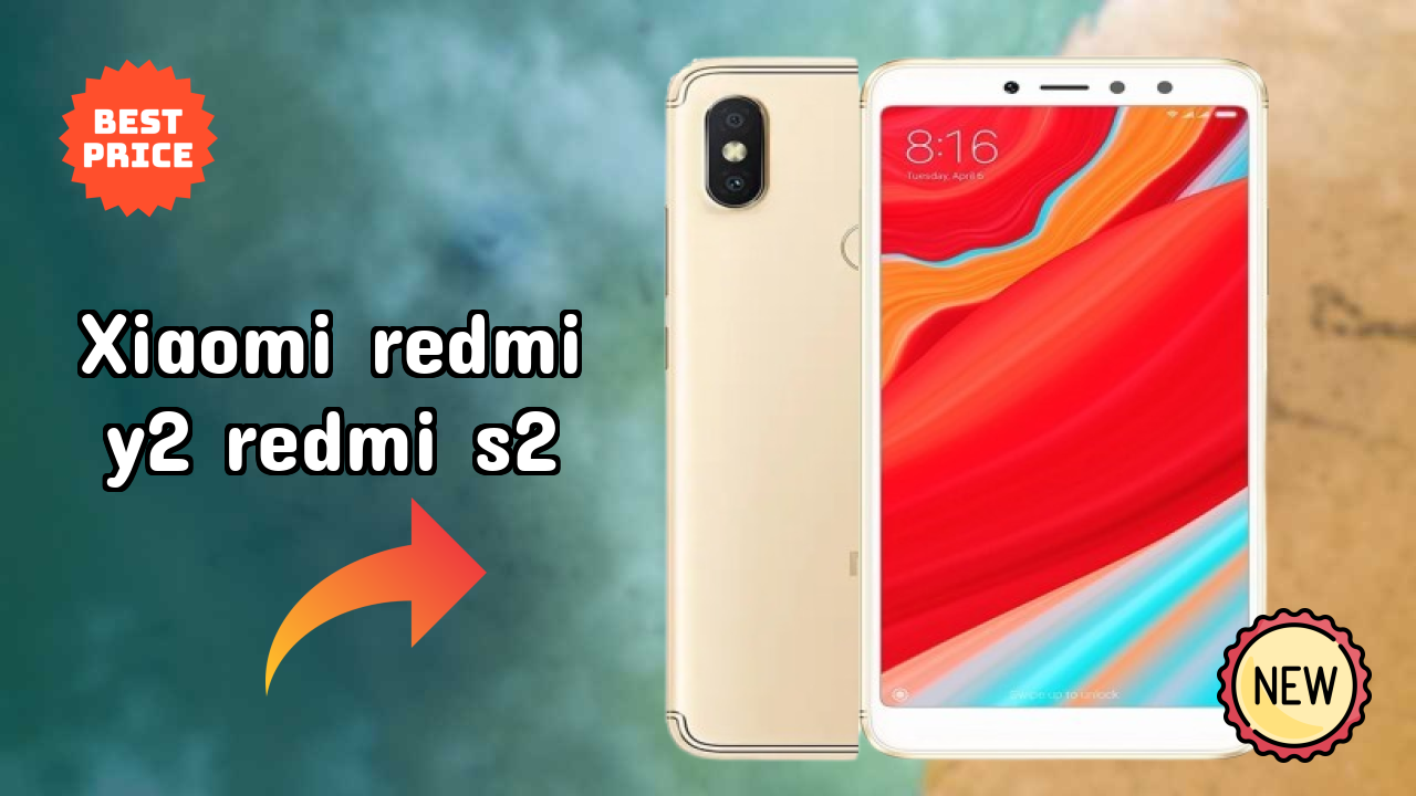 Xiaomi Redmi Y2 (Redmi S2) Camera Review: 12 MP + 5 MP Rear Camera Photo Samples